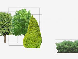 灌木植物和乔木植物SU模型下载_sketchup草图大师SKP模型