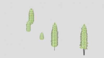 塔型树乔木植物SU模型下载_sketchup草图大师SKP模型