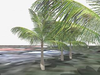 棕榈科<em>植物</em>椰子树<em>SU模型</em>下载_sketchup草图大师SKP模型