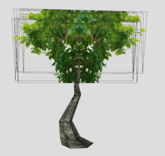 半落叶乔木象脚树SU模型下载_sketchup草图大师SKP模型
