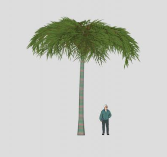 棕榈科椰属椰子树SU模型下载_sketchup草图大师SKP模型