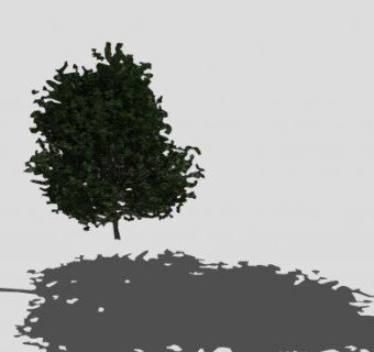 浓密常绿植物SU模型下载_sketchup草图大师SKP模型