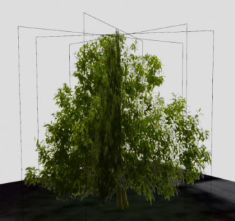 绿叶双子叶树木SU模型下载_sketchup草图大师SKP模型