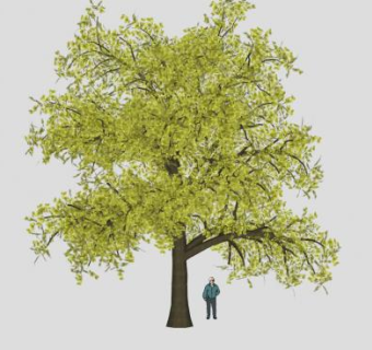 站在树下的人SU模型下载_sketchup草图大师SKP模型