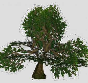 阔叶树乔木SU模型下载_sketchup草图大师SKP模型