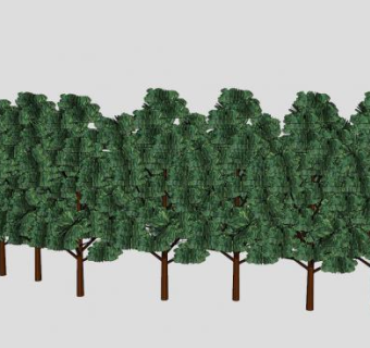 一排阔叶树常绿树SU模型下载_sketchup草图大师SKP模型