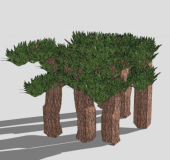 粗树干针叶树SU模型下载_sketchup草图大师SKP模型