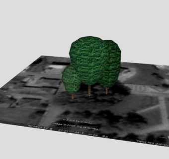 地图公园常绿树SU模型下载_sketchup草图大师SKP模型