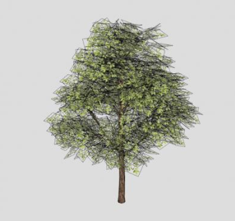 阔叶乔木植物SU模型下载_sketchup草图大师SKP模型