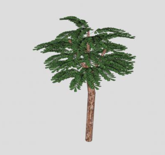 阔叶树绿色乔木SU模型下载_sketchup草图大师SKP模型