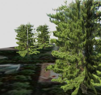 郊外公园树木SU模型下载_sketchup草图大师SKP模型