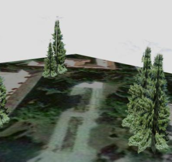 郊外公园乔木SU模型下载_sketchup草图大师SKP模型