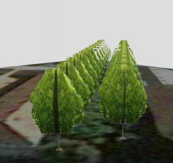 别墅区的树木群SU模型下载_sketchup草图大师SKP模型