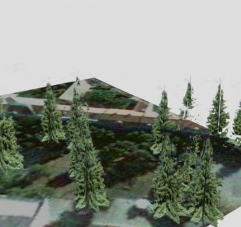 绿化带塔型树SU模型下载_sketchup草图大师SKP模型