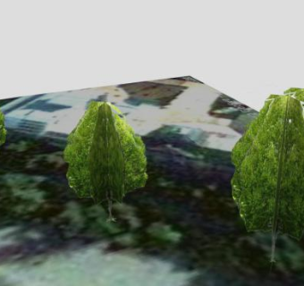 城市绿地双子植物SU模型下载_sketchup草图大师SKP模型