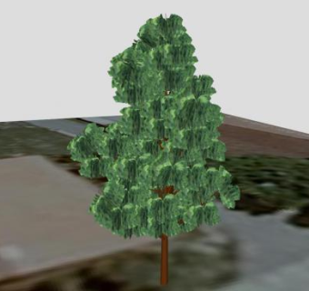 双子叶乔木植物SU模型下载_sketchup草图大师SKP模型