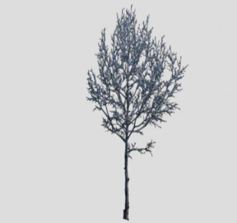 落叶乔木雪树SU模型下载_sketchup草图大师SKP模型