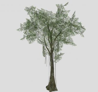 双子叶乔木SU模型下载_sketchup草图大师SKP模型