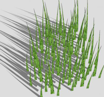 景观草地植物SU模型下载_sketchup草图大师SKP模型