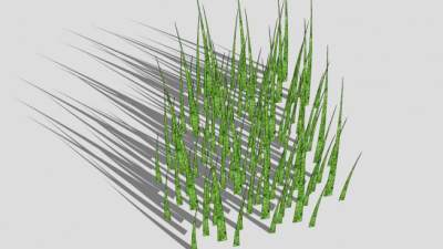 景观草地植物SU模型下载_sketchup草图大师SKP模型