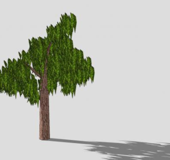 绿叶树乔木SU模型下载_sketchup草图大师SKP模型