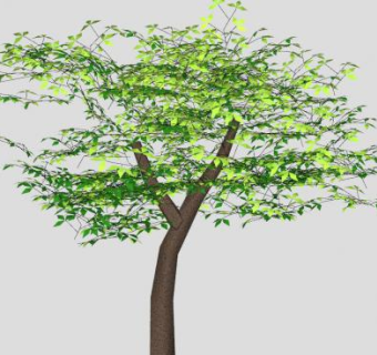 茂密阔叶乔木SU模型下载_sketchup草图大师SKP模型