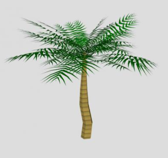 单子叶棕榈树SU模型下载_sketchup草图大师SKP模型