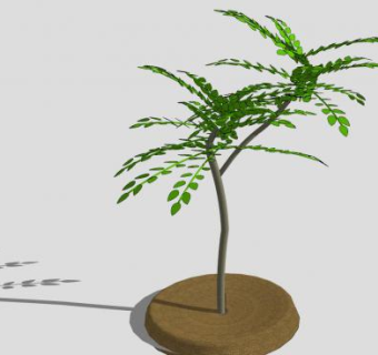 野生樱桃树SU模型下载_sketchup草图大师SKP模型