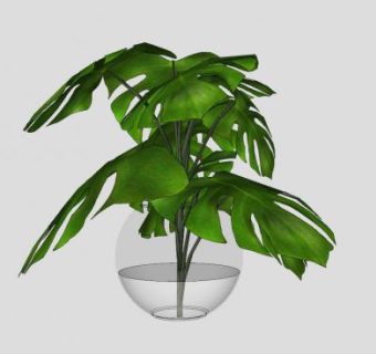 室内景观玻璃缸水生植物SU模型下载_sketchup草图大师SKP模型