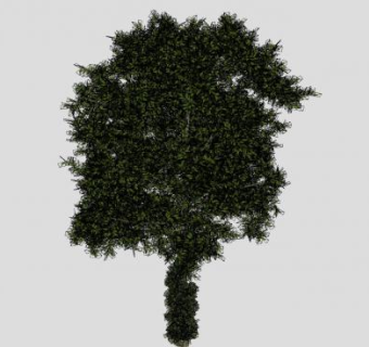 藤蔓盘绕乔木SU模型下载_sketchup草图大师SKP模型