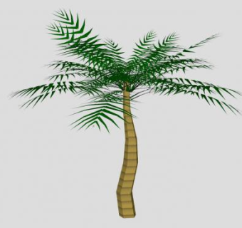 椰属椰子树SU模型下载_sketchup草图大师SKP模型
