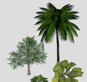 常绿灌木乔木植物SU模型下载_sketchup草图大师SKP模型