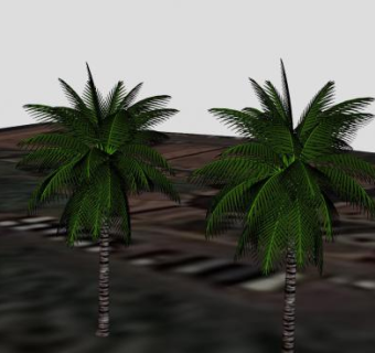 海边椰子树SU模型下载_sketchup草图大师SKP模型