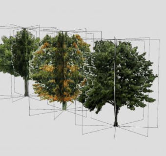 阔叶浓密乔木SU模型下载_sketchup草图大师SKP模型