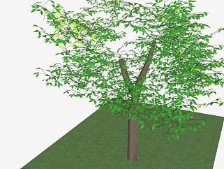 绿地树下的长椅SU模型下载_sketchup草图大师SKP模型