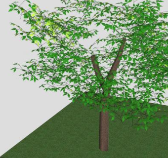 绿地树下的长椅SU模型下载_sketchup草图大师SKP模型