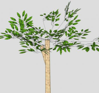 绿叶树干树木SU模型下载_sketchup草图大师SKP模型