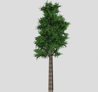 塔型大乔木SU模型下载_sketchup草图大师SKP模型