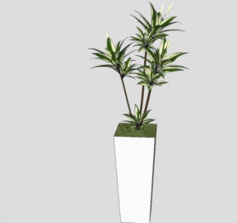 室内盆栽观赏植物SU模型下载_sketchup草图大师SKP模型
