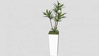 室内盆栽观赏植物SU模型下载_sketchup草图大师SKP模型