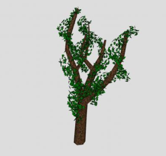 稀疏绿叶植物SU模型下载_sketchup草图大师SKP模型