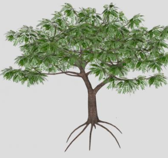 生根针叶乔木SU模型下载_sketchup草图大师SKP模型
