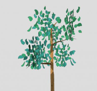 阔叶绿叶小乔木SU模型下载_sketchup草图大师SKP模型