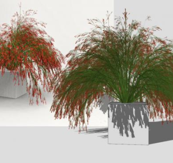 方形盆栽观赏植物SU模型下载_sketchup草图大师SKP模型