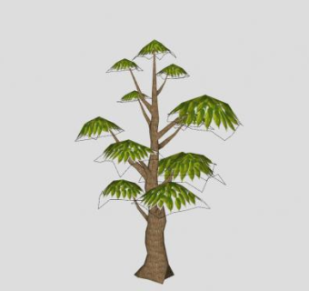 松柏纲乔木松树SU模型下载_sketchup草图大师SKP模型