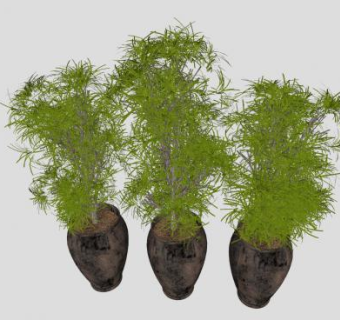 中式盆栽观赏植物SU模型下载_sketchup草图大师SKP模型