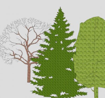 3种不同的2D乔木SU模型下载_sketchup草图大师SKP模型