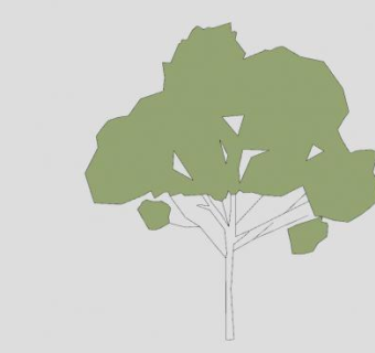 二维绿树树木SU模型下载_sketchup草图大师SKP模型