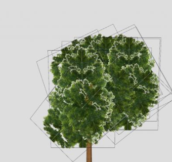 落叶双子叶大乔木梧桐树SU模型下载_sketchup草图大师SKP模型