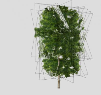 落叶乔木梧桐SU模型下载_sketchup草图大师SKP模型